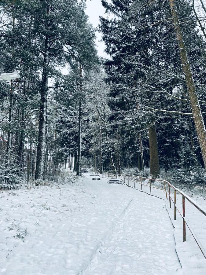 Apartman Galerie - Lipno Nad Vltavou Luaran gambar